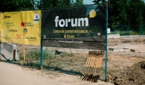 Forum Second phase